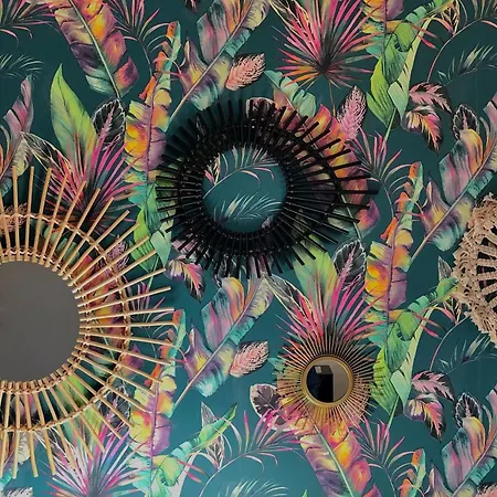 Appartement Sainte Cécile 4 - élégant Et