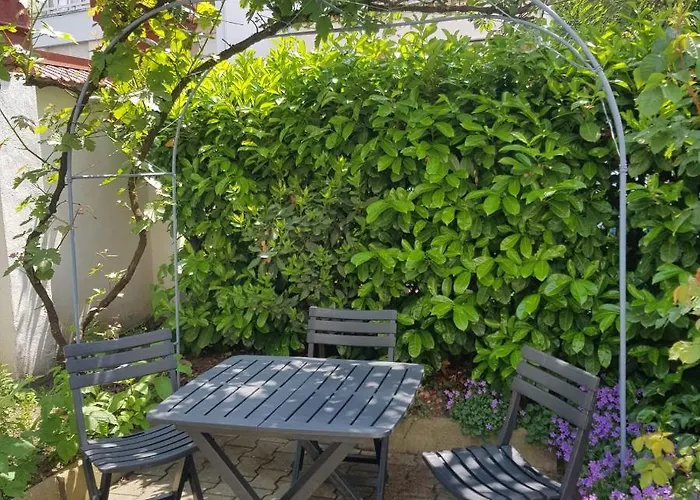 Sainte Cécile 4 - élégant Et Appartement Vichy